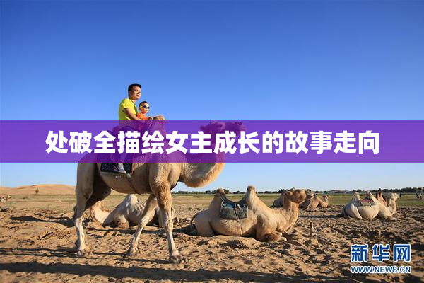 处破全描绘女主成长的故事走向