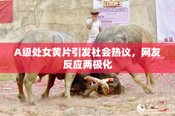 A级处女黄片引发社会热议，网友反应两极化