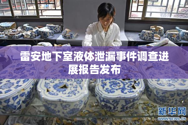 雷安地下室液体泄漏事件调查进展报告发布