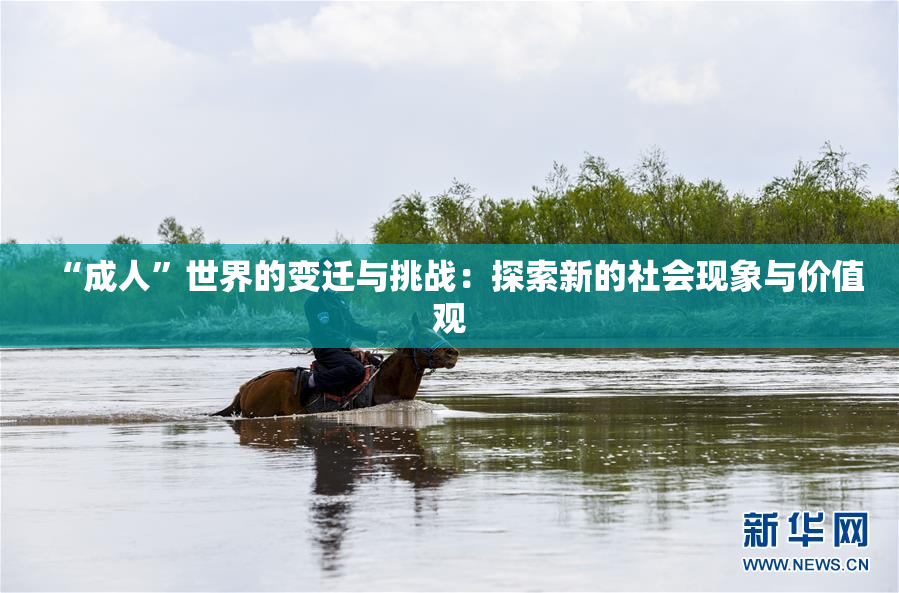 “成人”世界的变迁与挑战：探索新的社会现象与价值观