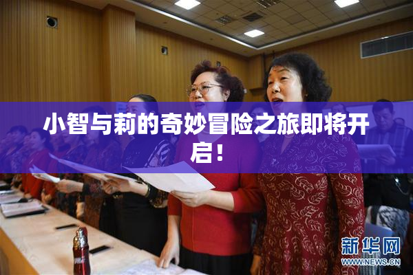 小智与莉的奇妙冒险之旅即将开启！