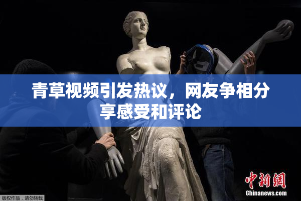 青草视频引发热议，网友争相分享感受和评论