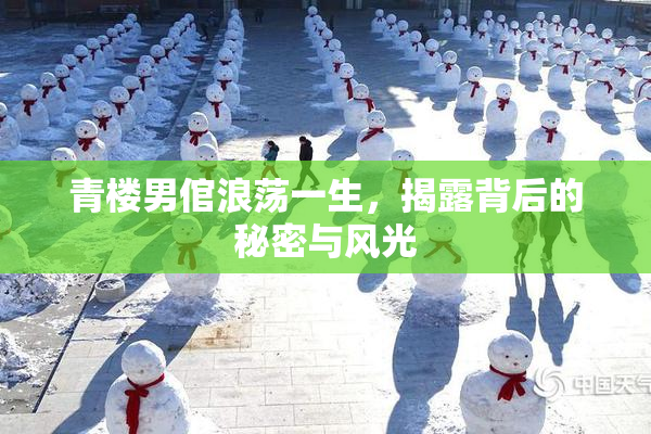 青楼男倌浪荡一生，揭露背后的秘密与风光
