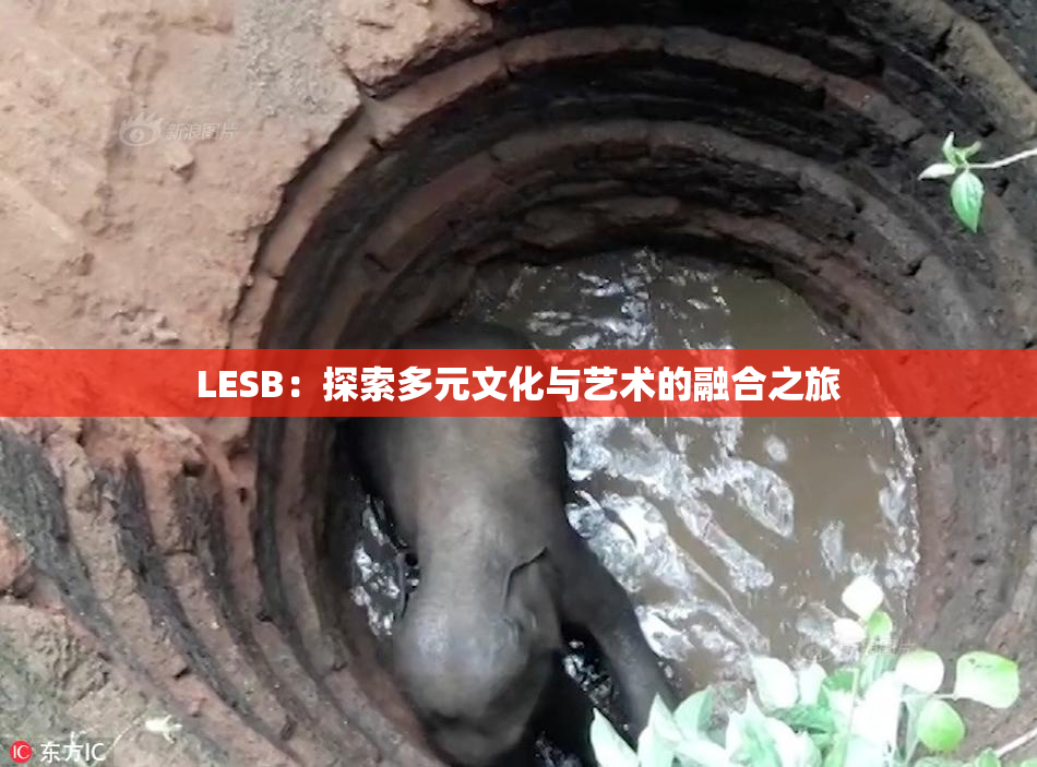 LESB：探索多元文化与艺术的融合之旅