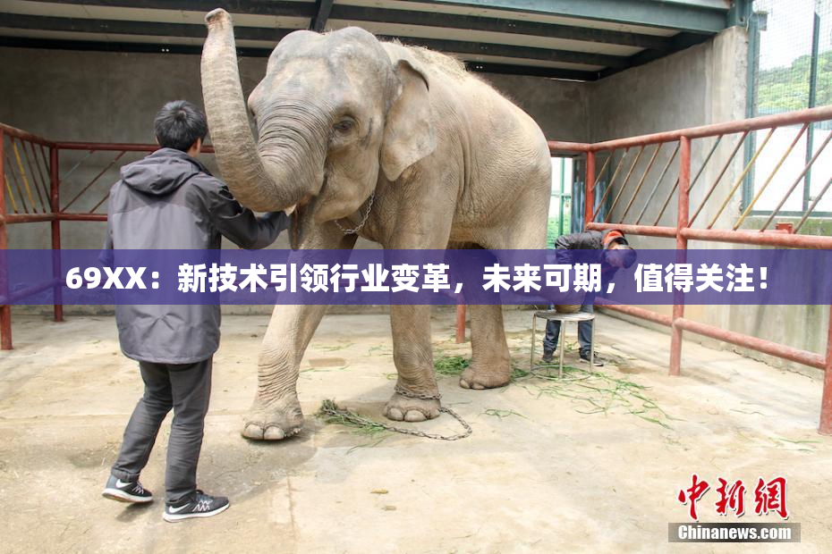 69ΧΧ：新技术引领行业变革，未来可期，值得关注！