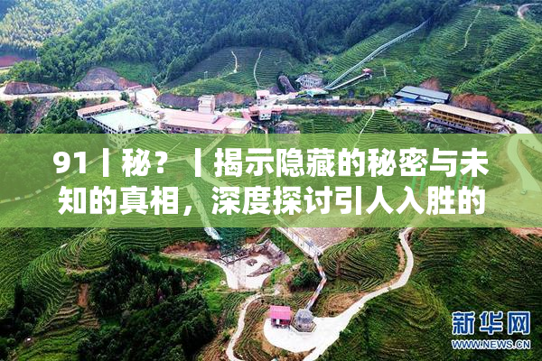 91丨秘？丨揭示隐藏的秘密与未知的真相，深度探讨引人入胜的故事
