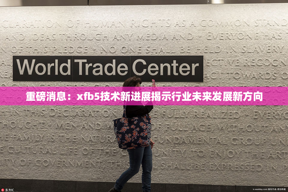 重磅消息：xfb5技术新进展揭示行业未来发展新方向