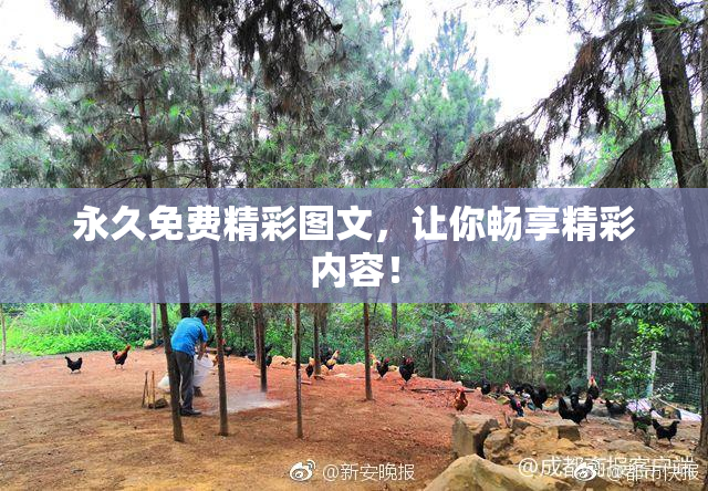 永久免费精彩图文，让你畅享精彩内容！