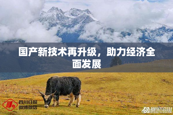 国产新技术再升级，助力经济全面发展