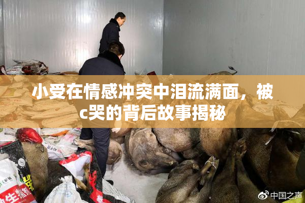 小受在情感冲突中泪流满面，被c哭的背后故事揭秘