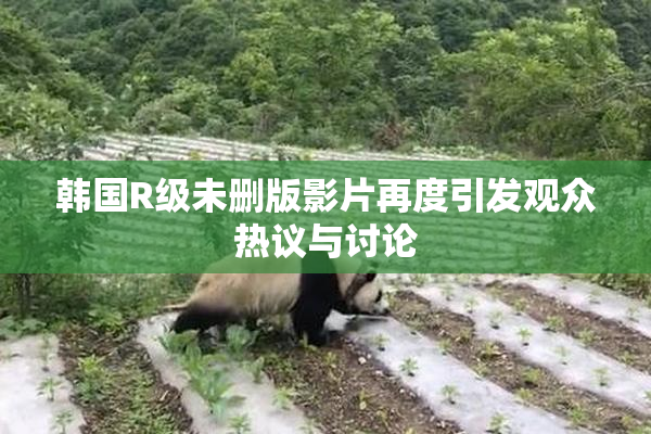 韩国R级未删版影片再度引发观众热议与讨论