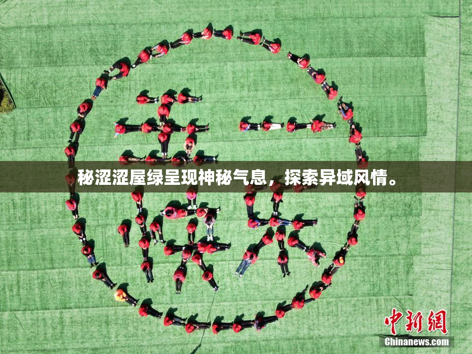秘涩涩屋绿呈现神秘气息，探索异域风情。