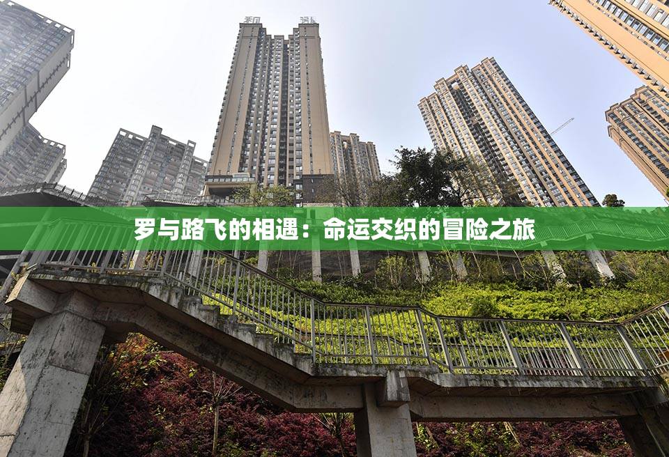 罗与路飞的相遇：命运交织的冒险之旅