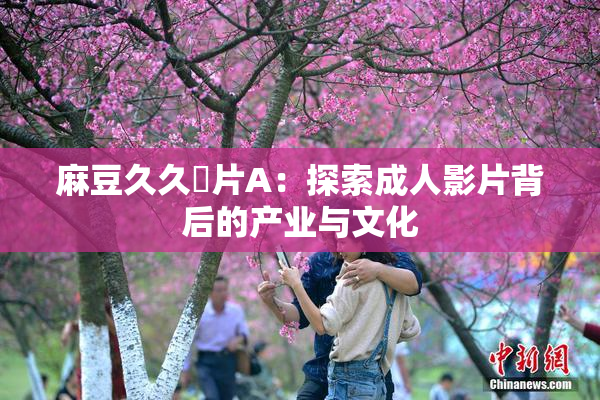 麻豆久久婬片A：探索成人影片背后的产业与文化