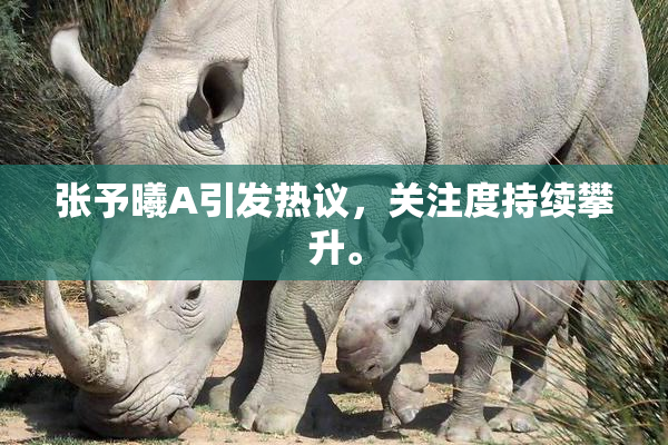 张予曦A引发热议，关注度持续攀升。