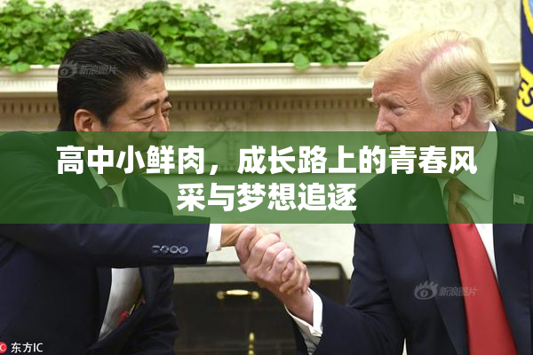 高中小鲜肉，成长路上的青春风采与梦想追逐