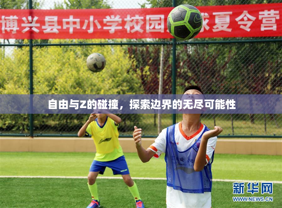 自由与Z的碰撞，探索边界的无尽可能性