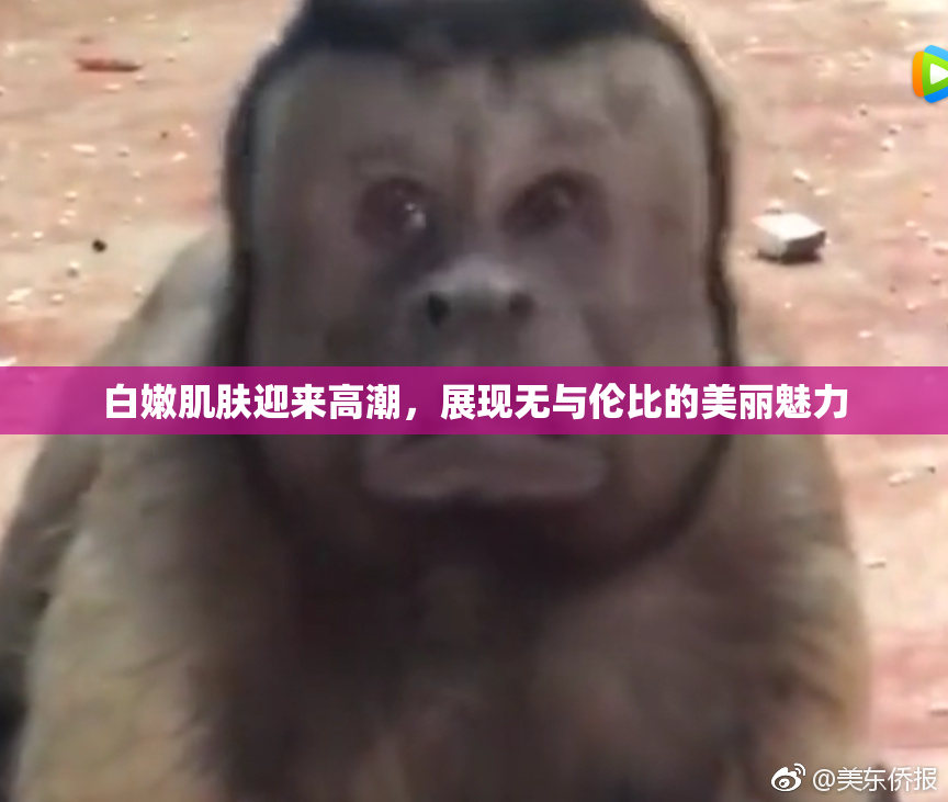 白嫩肌肤迎来高潮，展现无与伦比的美丽魅力