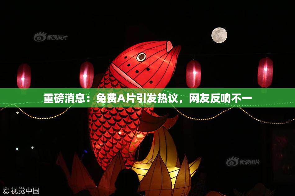 重磅消息：免费A片引发热议，网友反响不一