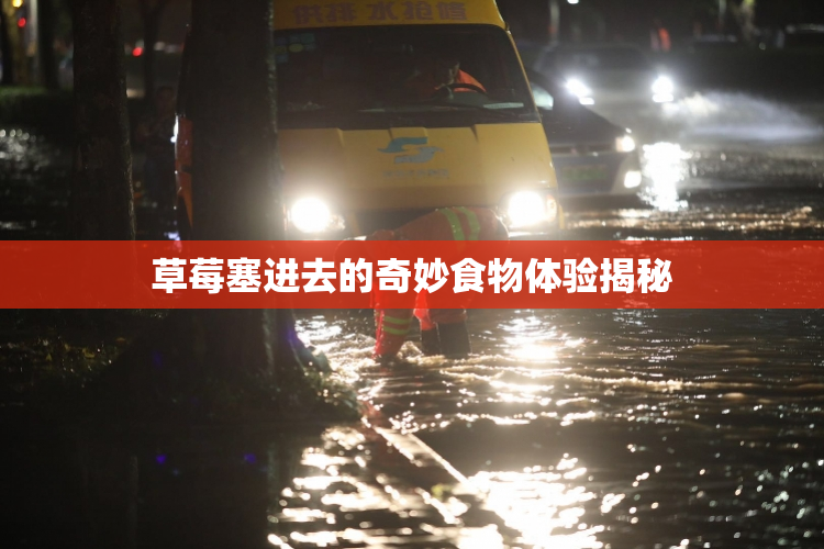 草莓塞进去的奇妙食物体验揭秘