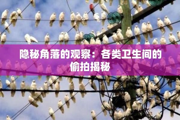 隐秘角落的观察：各类卫生间的偷拍揭秘