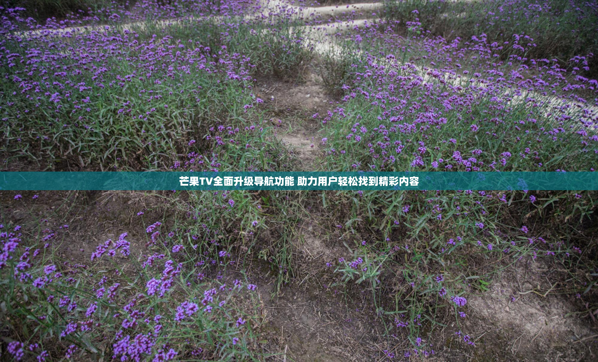 芒果TV全面升级导航功能 助力用户轻松找到精彩内容