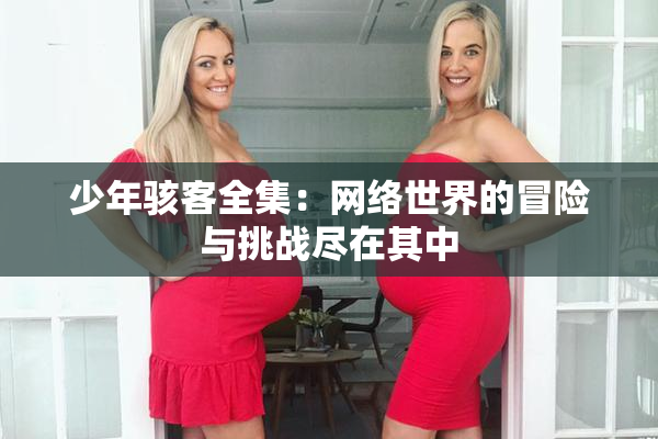 少年骇客全集：网络世界的冒险与挑战尽在其中