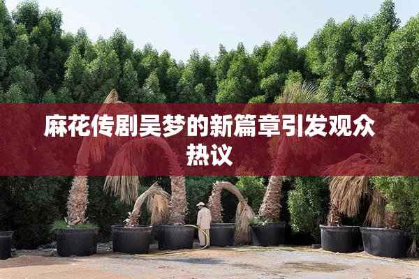 麻花传剧吴梦的新篇章引发观众热议