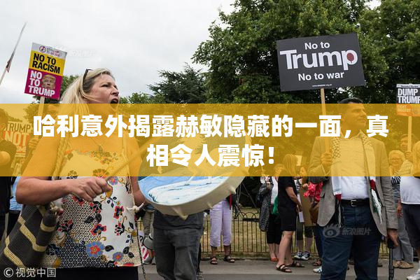 哈利意外揭露赫敏隐藏的一面，真相令人震惊！