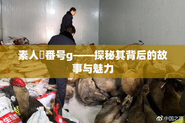 素人蘭番号g——探秘其背后的故事与魅力