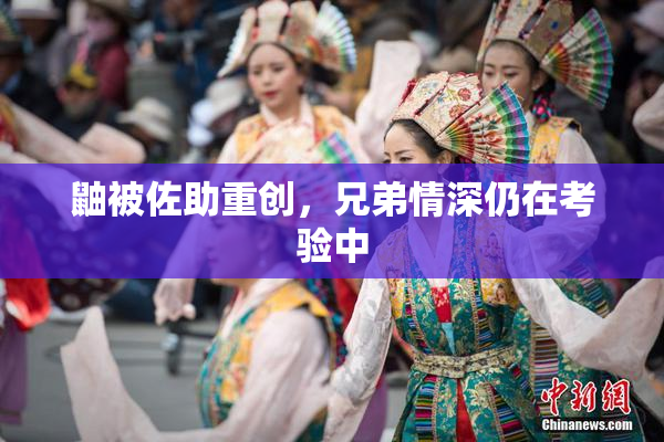 鼬被佐助重创，兄弟情深仍在考验中