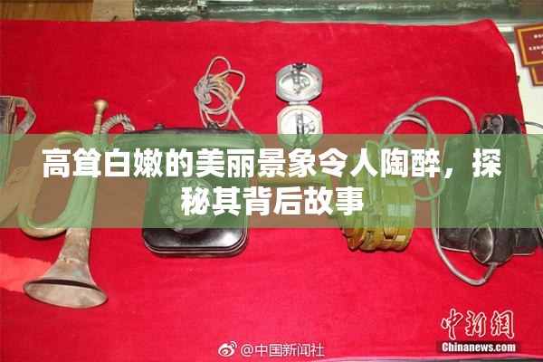高耸白嫩的美丽景象令人陶醉，探秘其背后故事