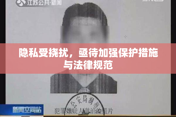 隐私受挠扰，亟待加强保护措施与法律规范
