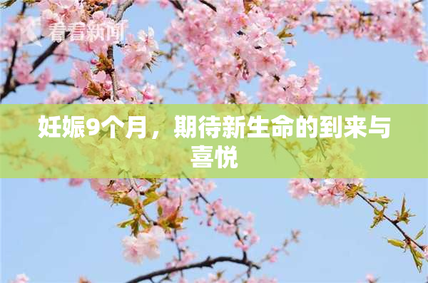 妊娠9个月，期待新生命的到来与喜悦