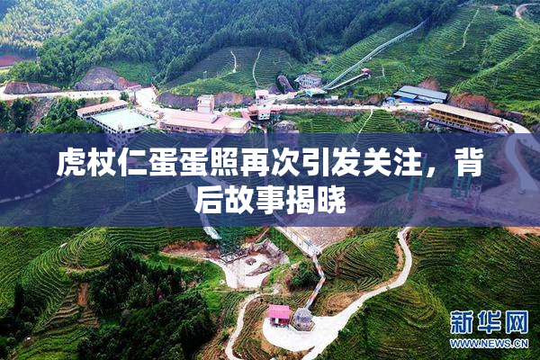 虎杖仁蛋蛋照再次引发关注，背后故事揭晓