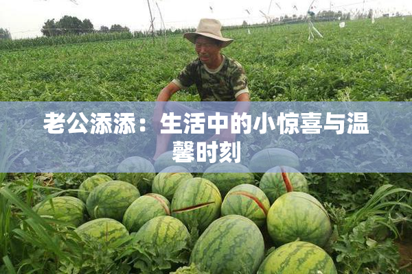 老公添添：生活中的小惊喜与温馨时刻