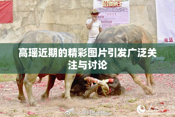 高瑶近期的精彩图片引发广泛关注与讨论