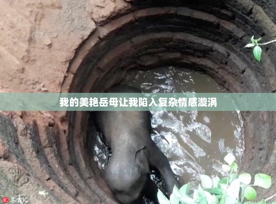 我的美艳岳母让我陷入复杂情感漩涡