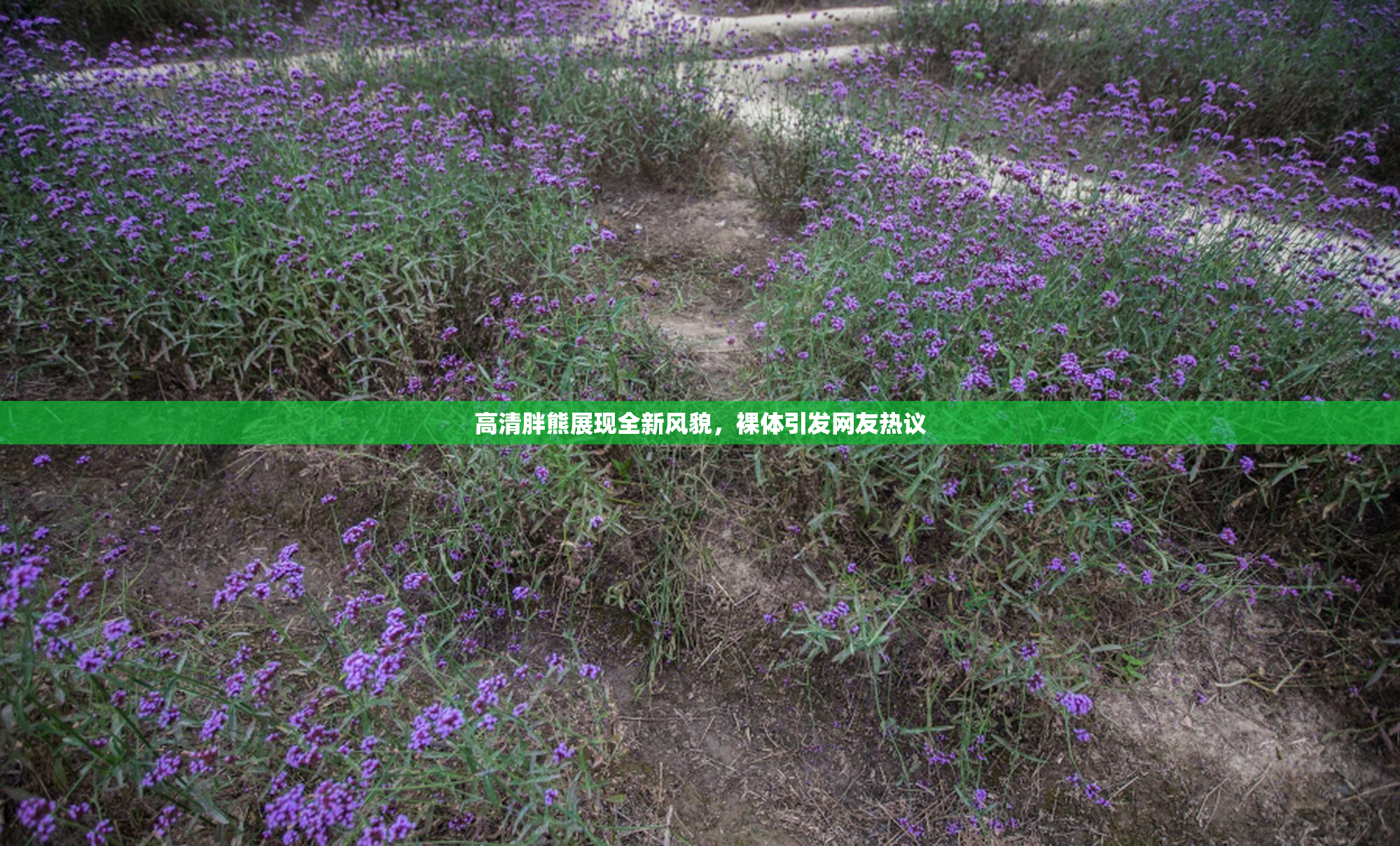 高清胖熊展现全新风貌，裸体引发网友热议