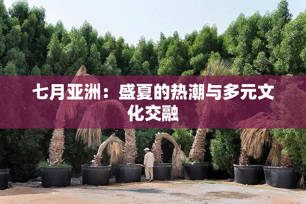 七月亚洲：盛夏的热潮与多元文化交融