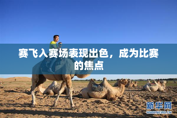 赛飞入赛场表现出色，成为比赛的焦点