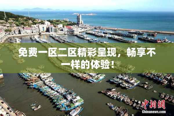 免费一区二区精彩呈现，畅享不一样的体验！