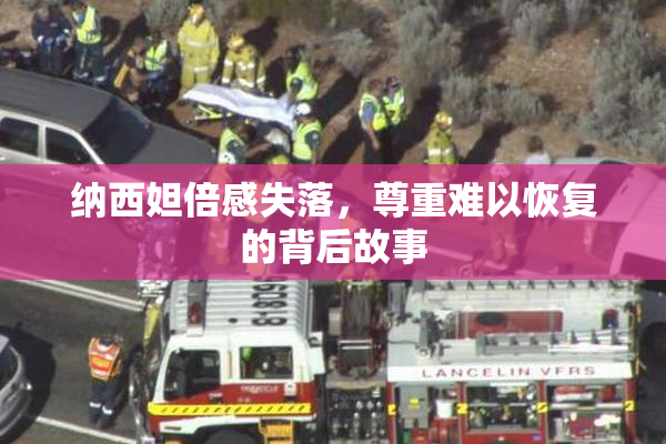 纳西妲倍感失落，尊重难以恢复的背后故事