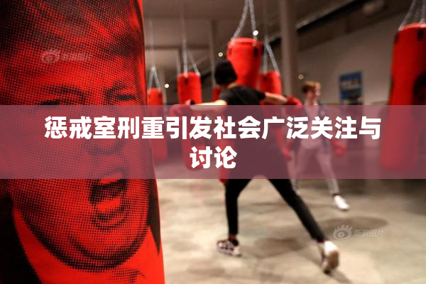 惩戒室刑重引发社会广泛关注与讨论