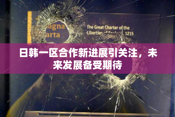 日韩一区合作新进展引关注，未来发展备受期待