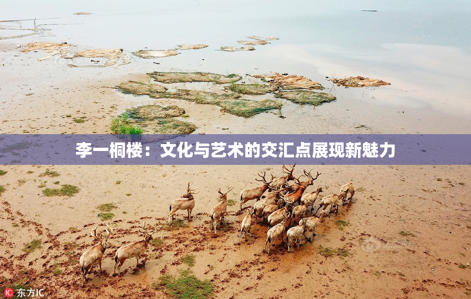 李一桐楼：文化与艺术的交汇点展现新魅力