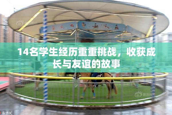 14名学生经历重重挑战，收获成长与友谊的故事