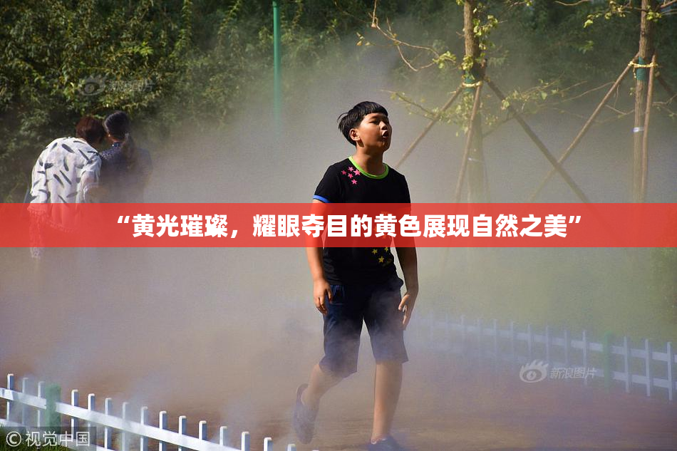 “黄光璀璨，耀眼夺目的黄色展现自然之美”