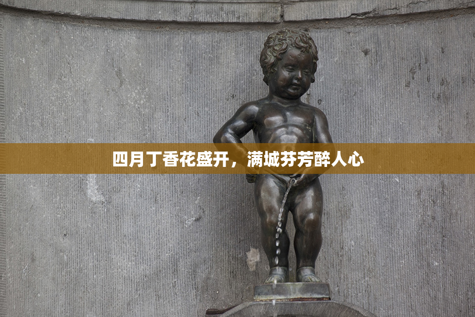 四月丁香花盛开，满城芬芳醉人心