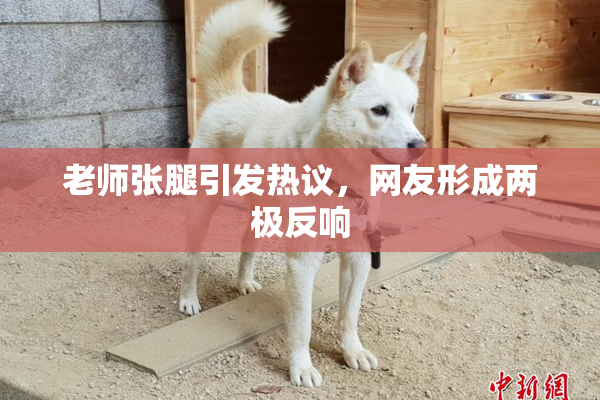 老师张腿引发热议，网友形成两极反响